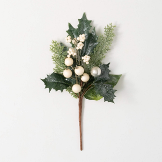 “3641687141778_”小