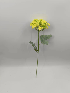 “2221702866980_”小