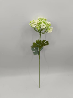 “2261702866982_”小