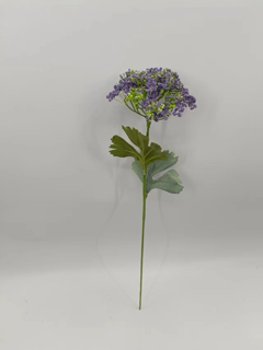 “2231702866980_”小