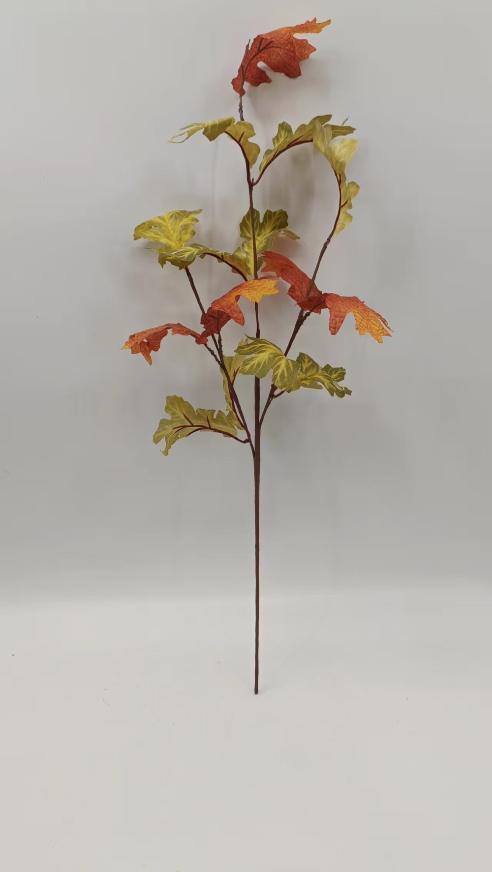 463b5f95d531b93087414851cc9b8ab6