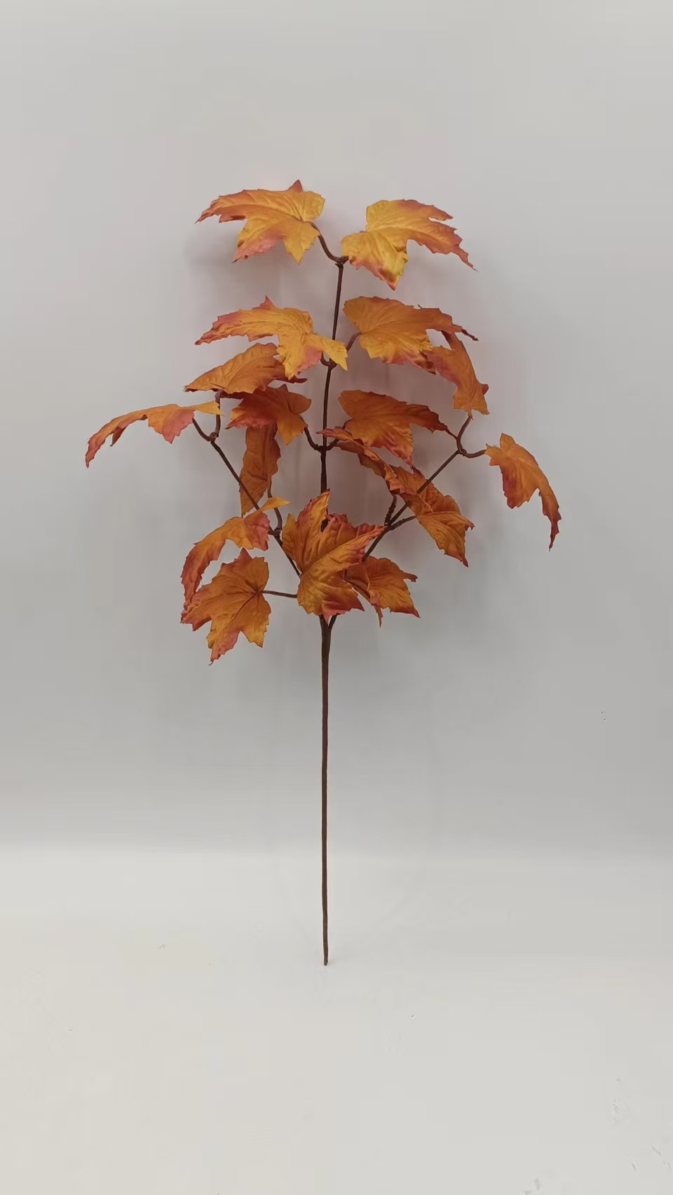 e9d3cea3e8ce7493526d52384a4ab1b1