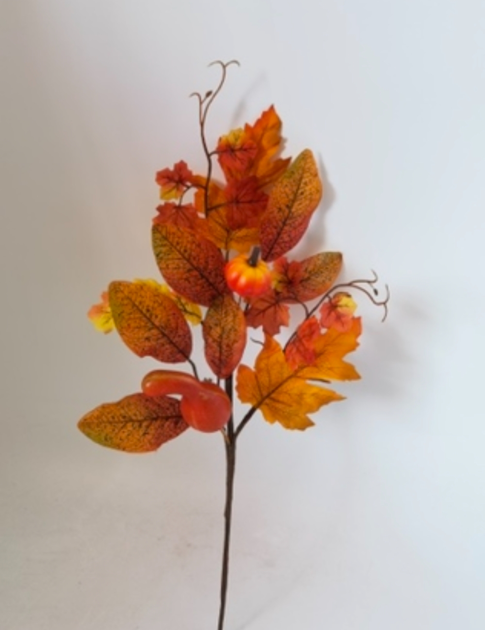 微信图片_20251031104803_3411_200