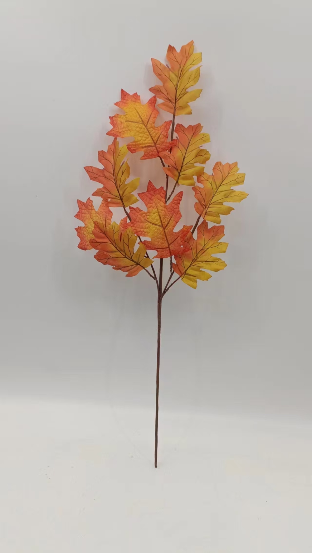 93cd6f569b69a1f8043c5fbfd4ac9b95