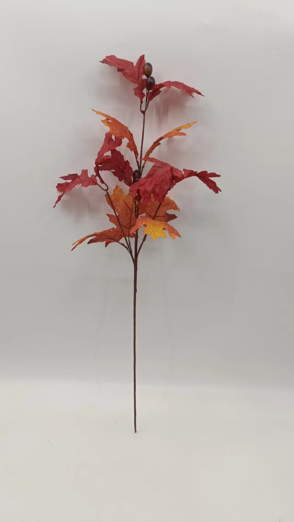 3241a1dd7ca660684e0cac54b4a90335