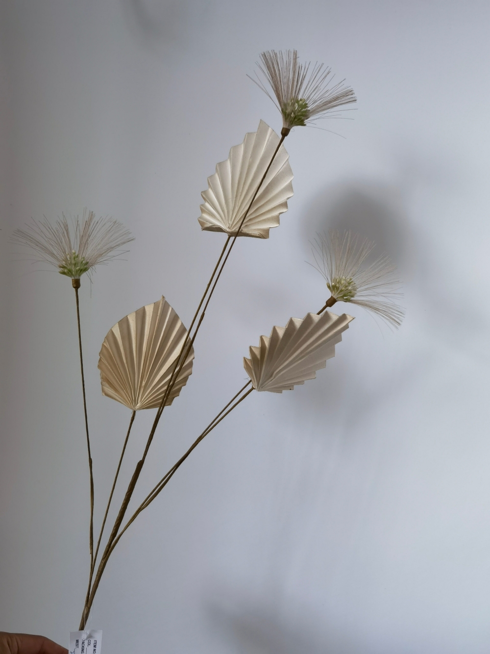 微信图片_20251031102206_3387_200