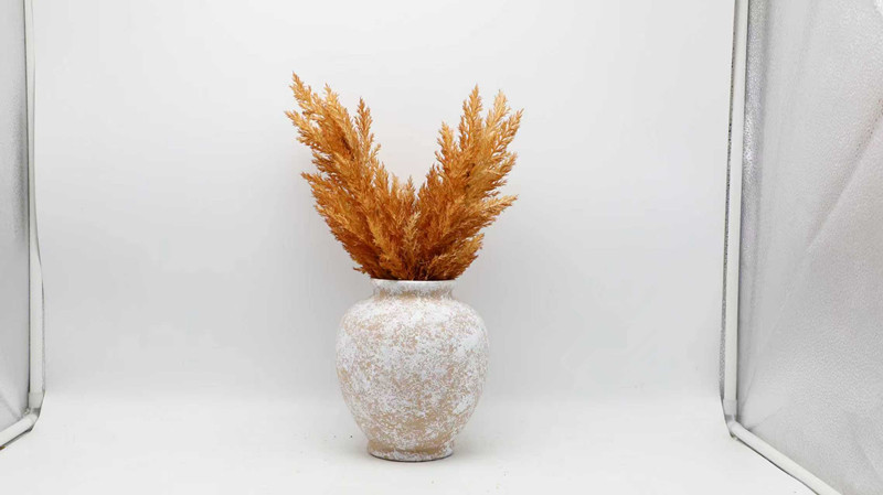 微信图片_20251031102610_3403_200