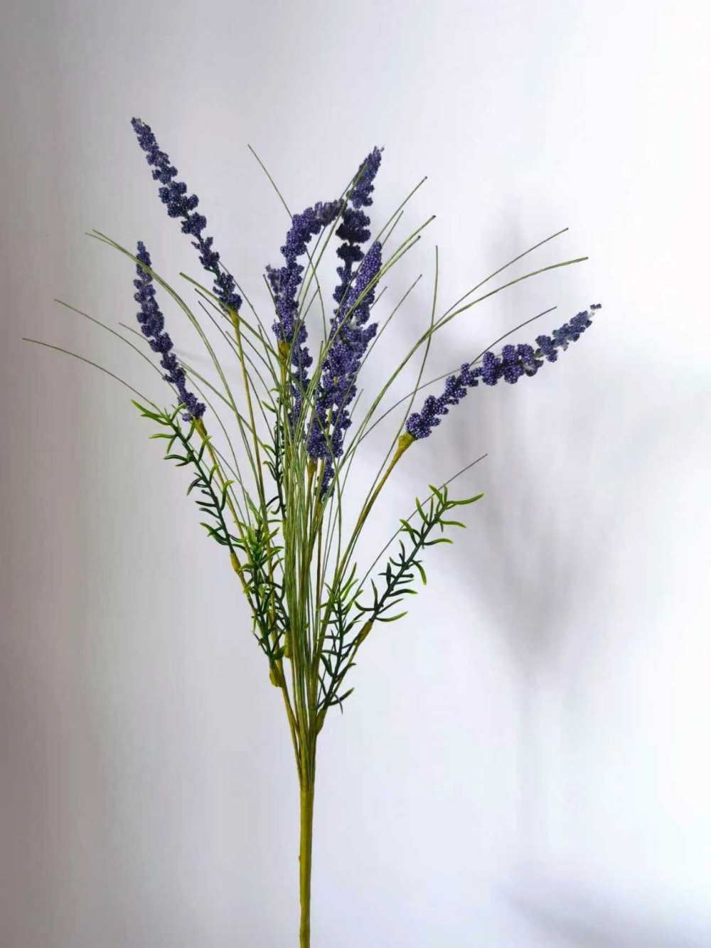 微信图片_20251031102011_3384_200