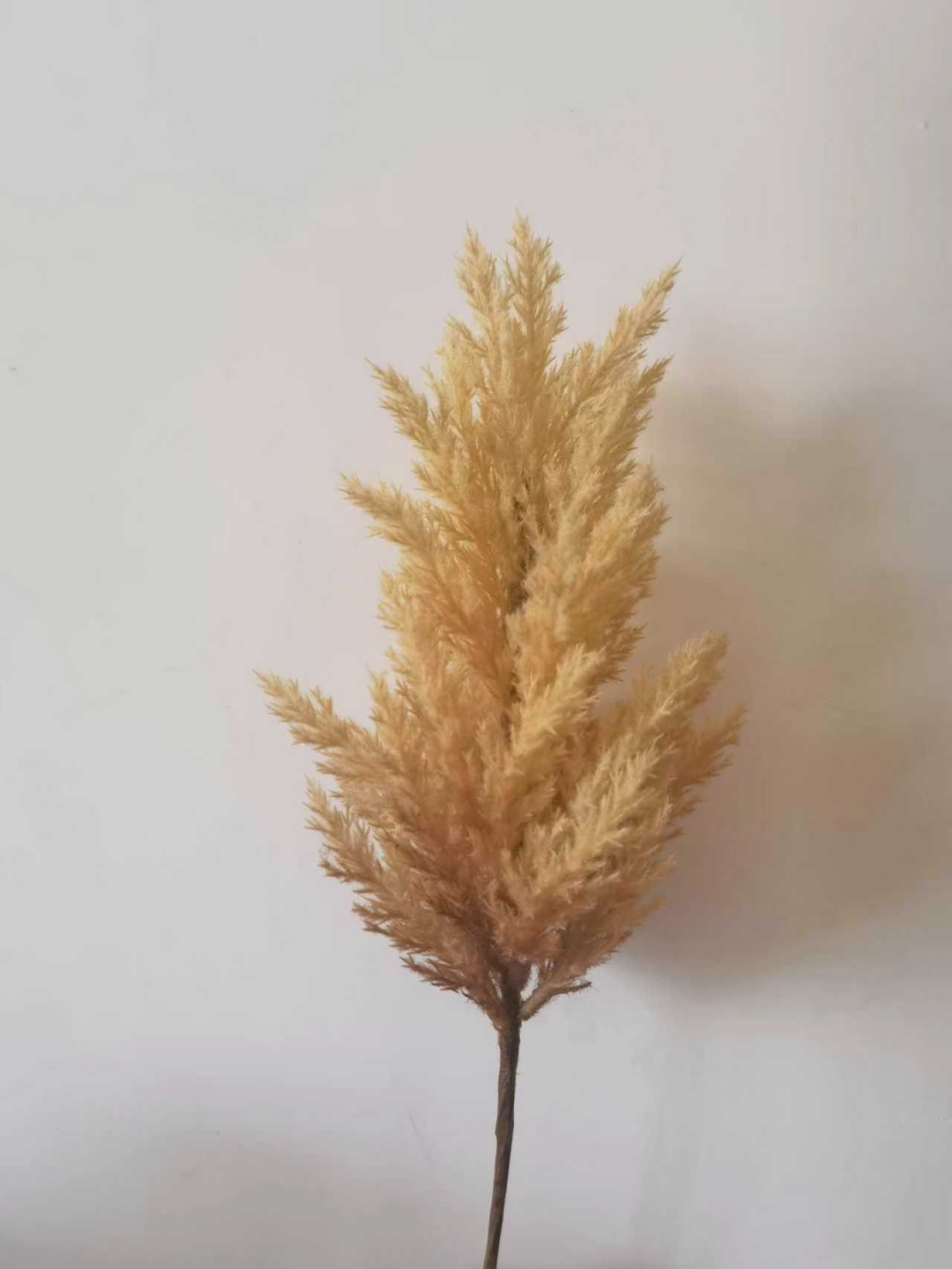 微信图片_20251031101941_3382_200