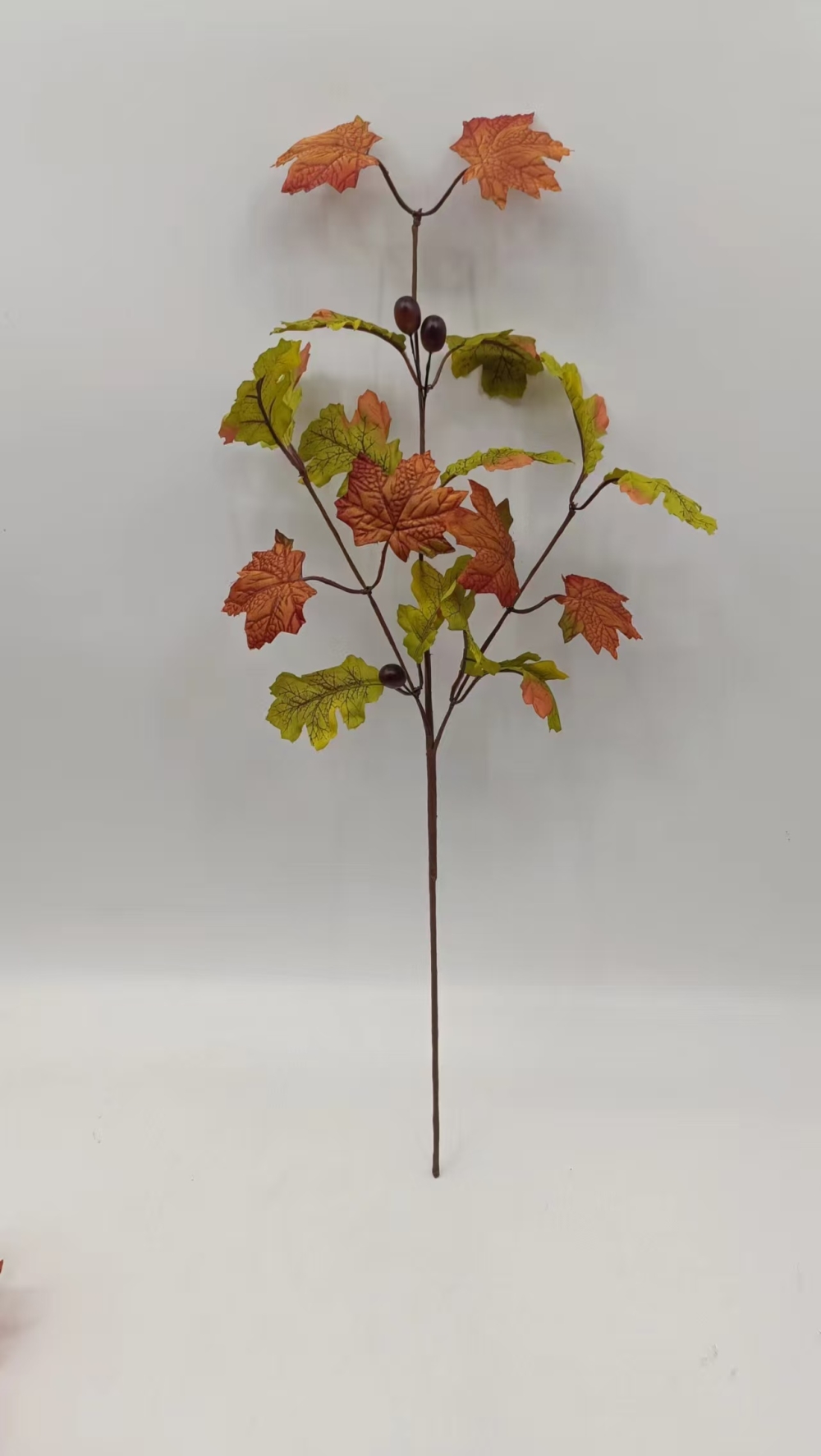 ef9c77f84ba4a77285d21d34dbee5145