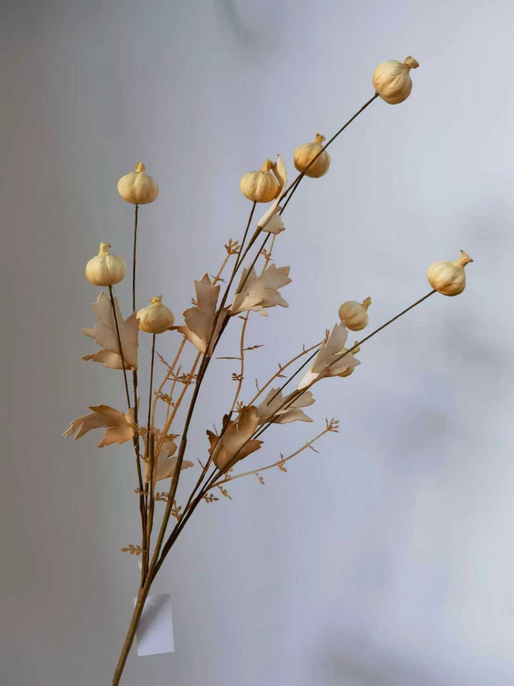 微信图片_20251031102047_3385_200