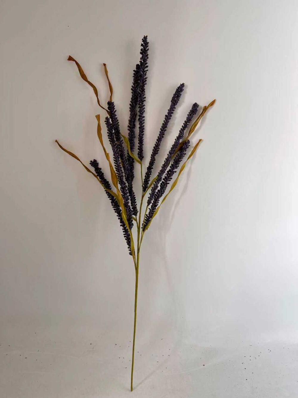 微信图片_20251031101344_3374_200