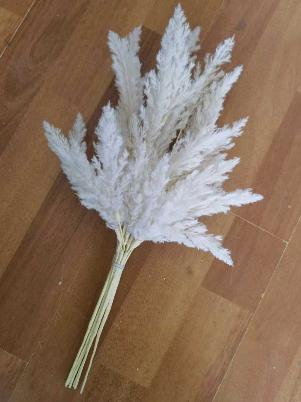 微信图片_20251031101914_3381_200