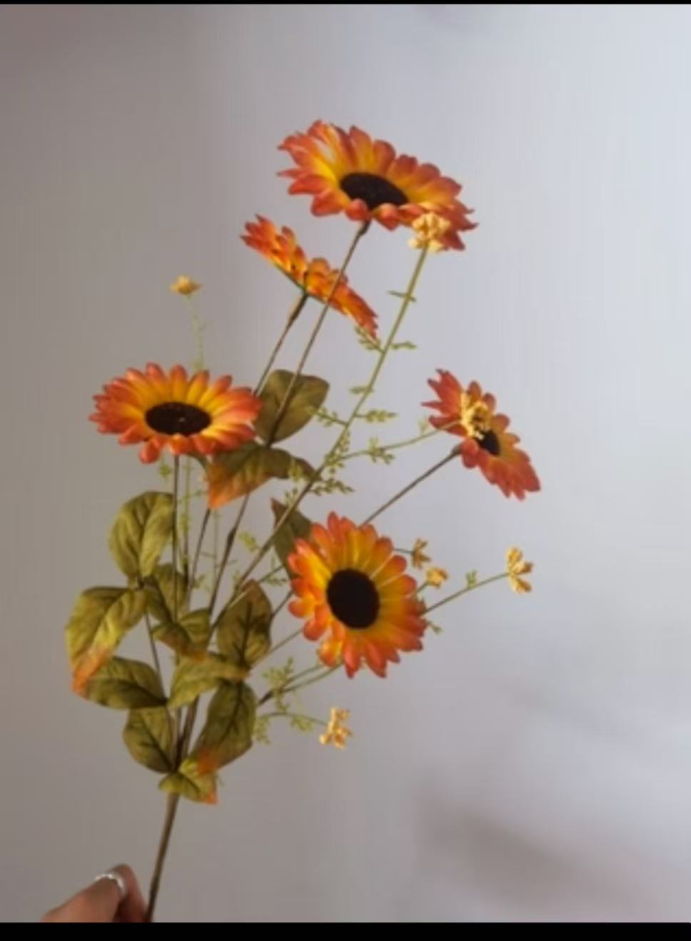 微信图片_20251031104802_3410_200