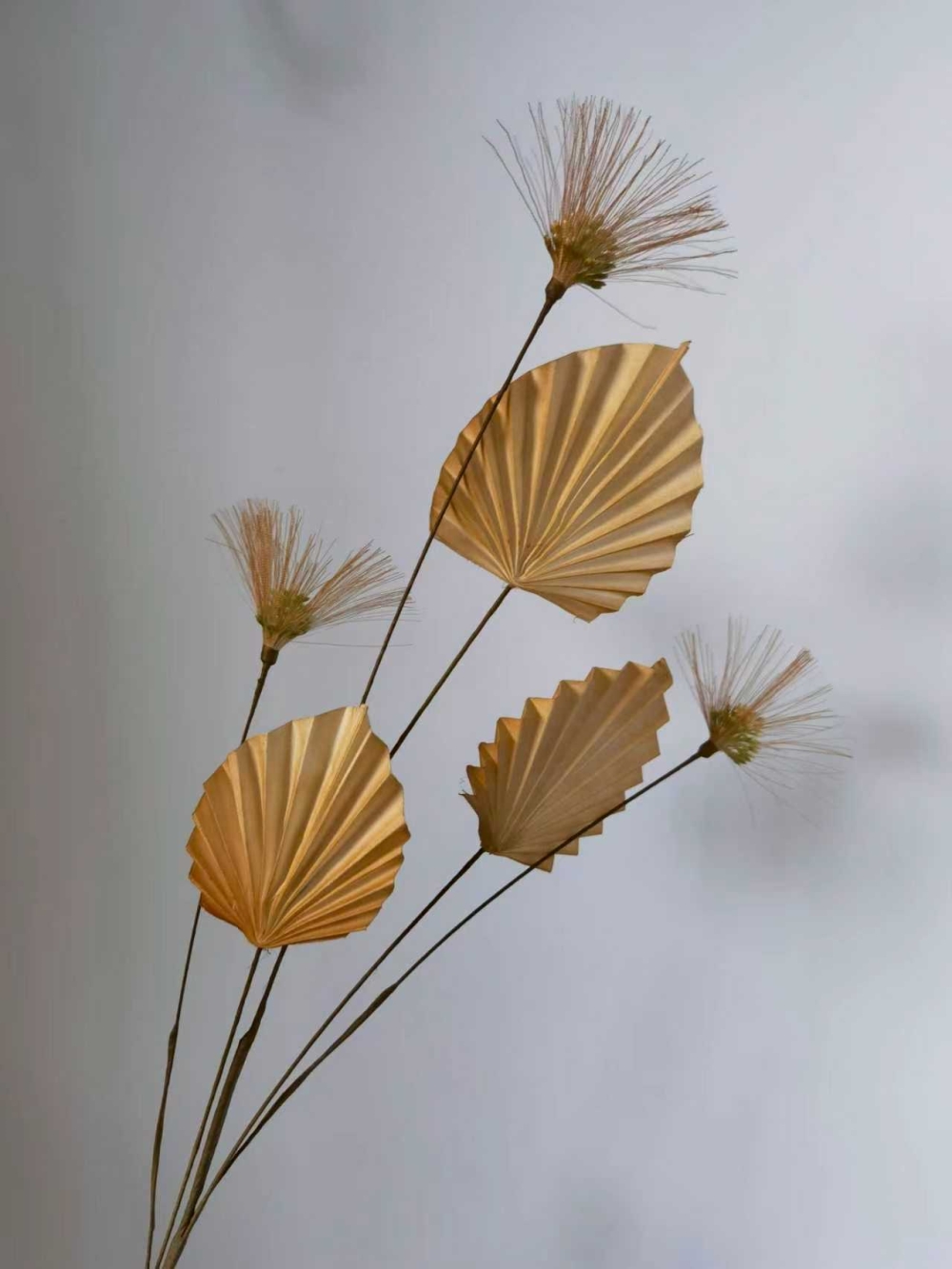 微信图片_20251031102159_3386_200